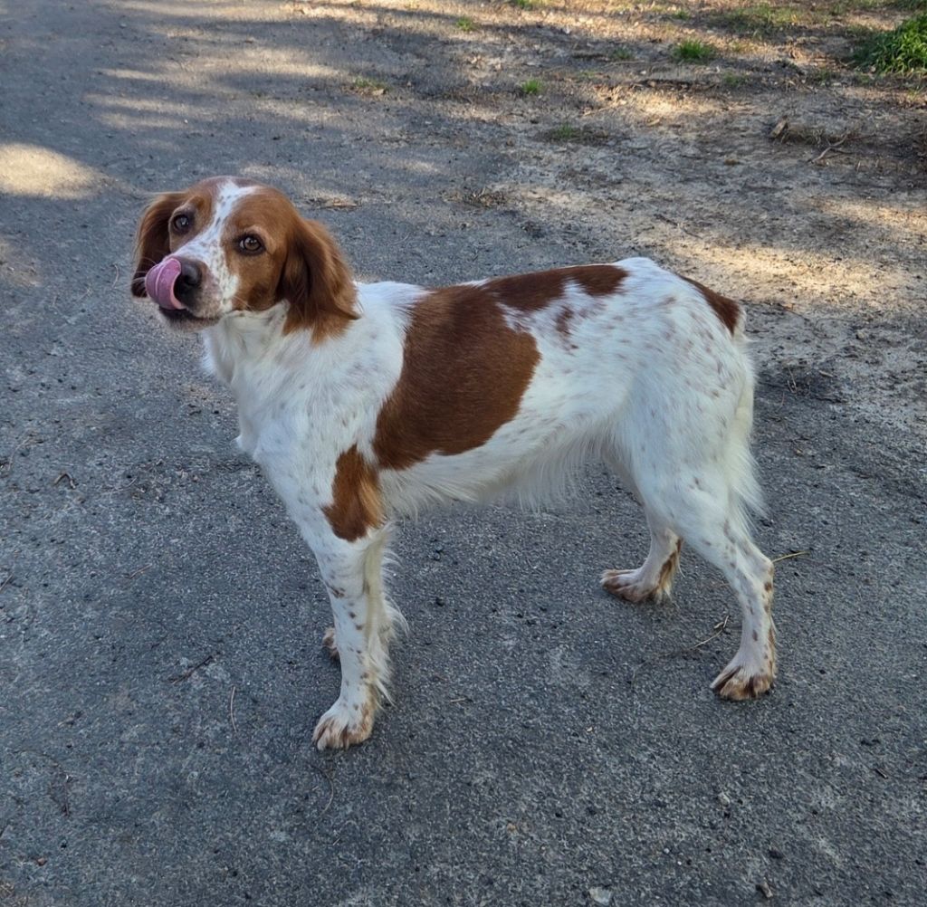 Sunny Du Paradis Des Anges